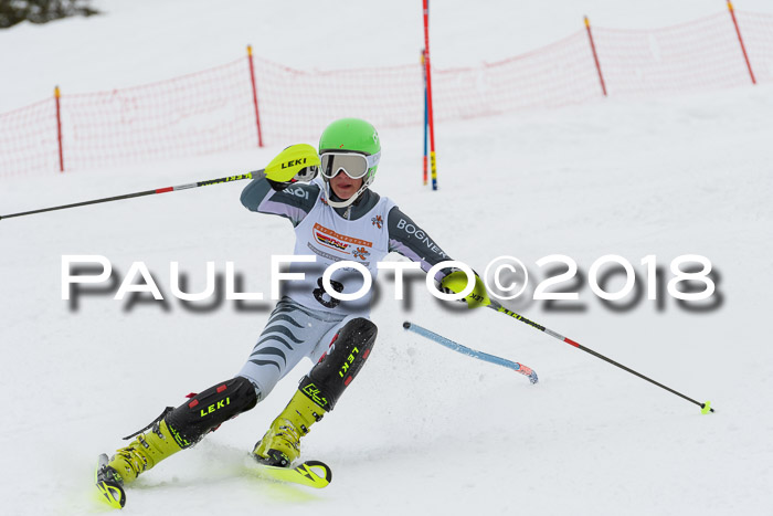 DSV Dt. Schülercup U14 SL 20.01.2018