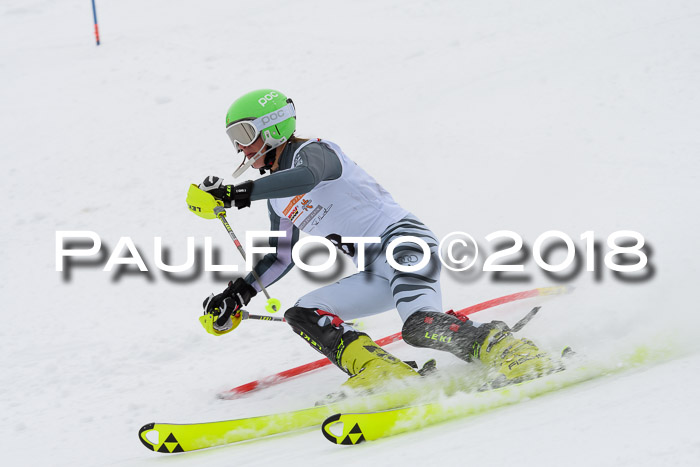 DSV Dt. Schülercup U14 SL 20.01.2018