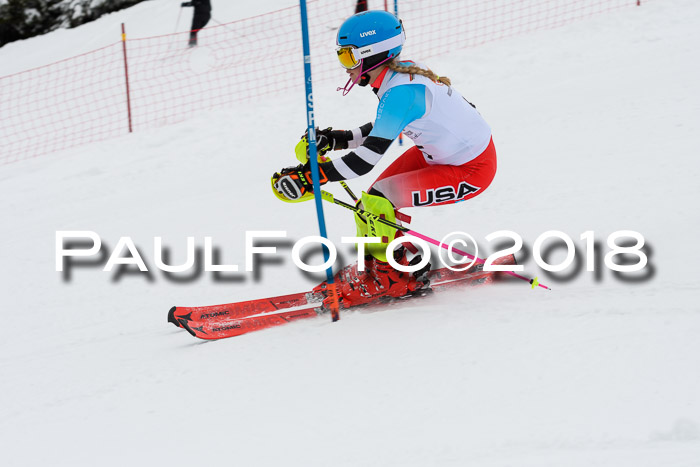 DSV Dt. Schülercup U14 SL 20.01.2018