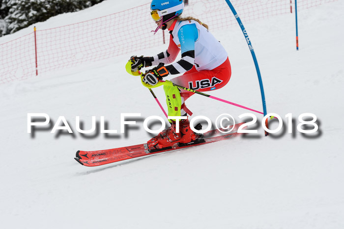 DSV Dt. Schülercup U14 SL 20.01.2018