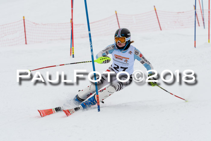 DSV Dt. Schülercup U14 SL 20.01.2018