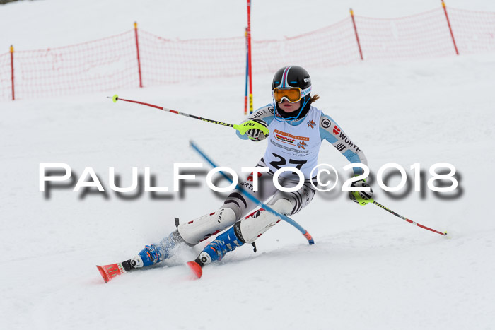 DSV Dt. Schülercup U14 SL 20.01.2018