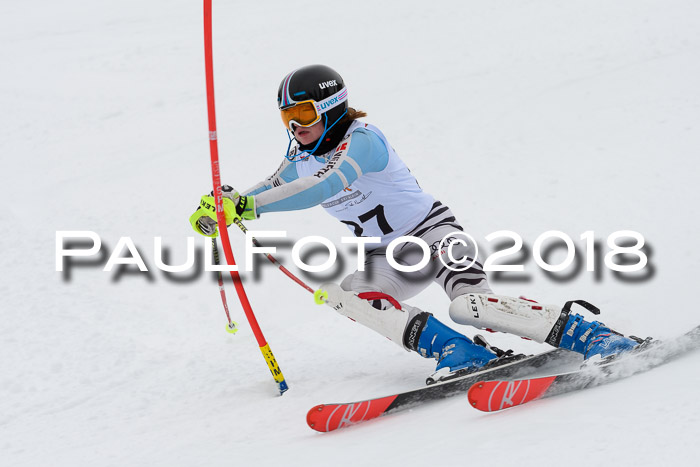 DSV Dt. Schülercup U14 SL 20.01.2018