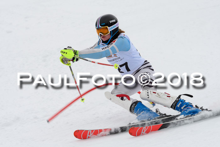 DSV Dt. Schülercup U14 SL 20.01.2018