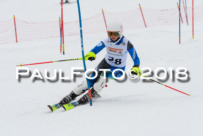 DSV Dt. Schülercup U14 SL 20.01.2018