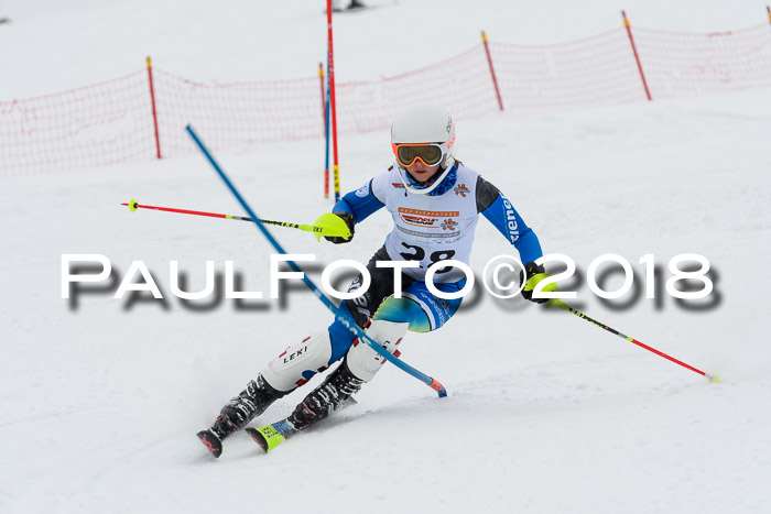 DSV Dt. Schülercup U14 SL 20.01.2018