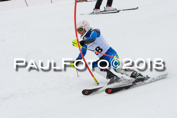 DSV Dt. Schülercup U14 SL 20.01.2018