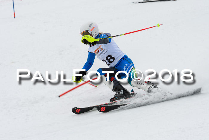 DSV Dt. Schülercup U14 SL 20.01.2018