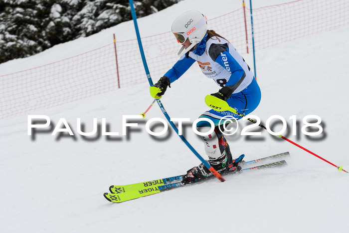 DSV Dt. Schülercup U14 SL 20.01.2018