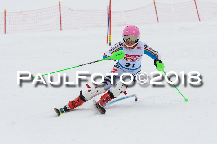 DSV Dt. Schülercup U14 SL 20.01.2018