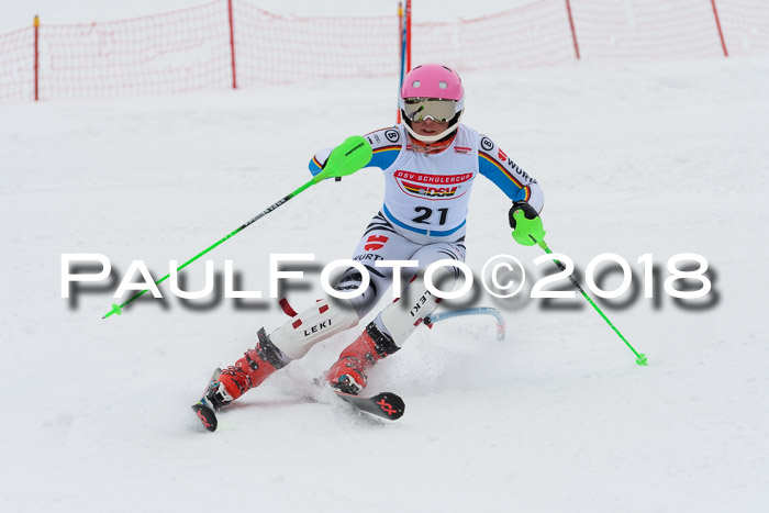 DSV Dt. Schülercup U14 SL 20.01.2018