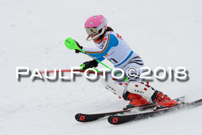 DSV Dt. Schülercup U14 SL 20.01.2018