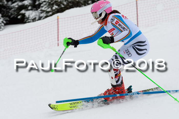 DSV Dt. Schülercup U14 SL 20.01.2018