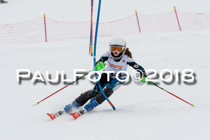 DSV Dt. Schülercup U14 SL 20.01.2018