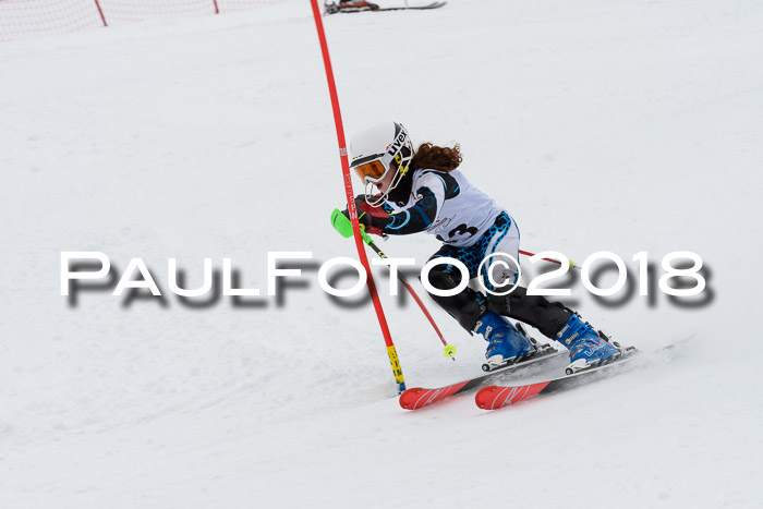 DSV Dt. Schülercup U14 SL 20.01.2018