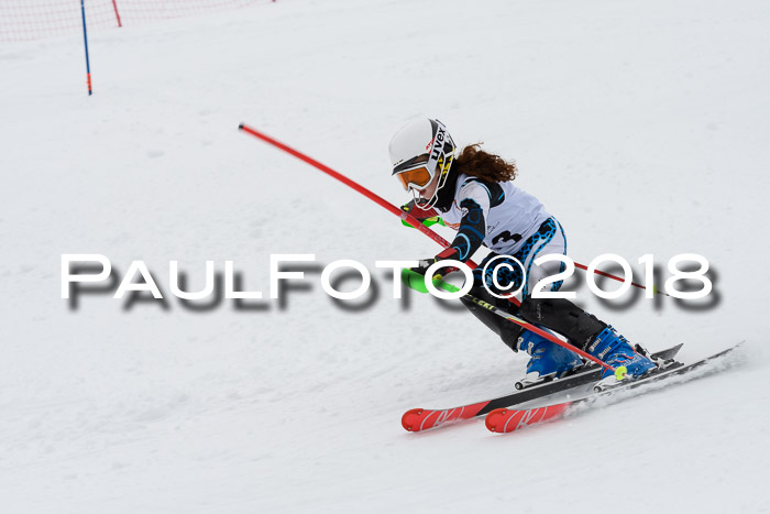 DSV Dt. Schülercup U14 SL 20.01.2018