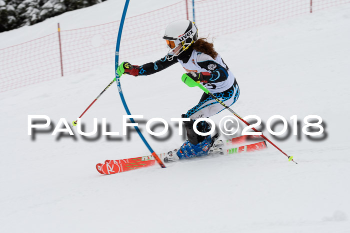 DSV Dt. Schülercup U14 SL 20.01.2018