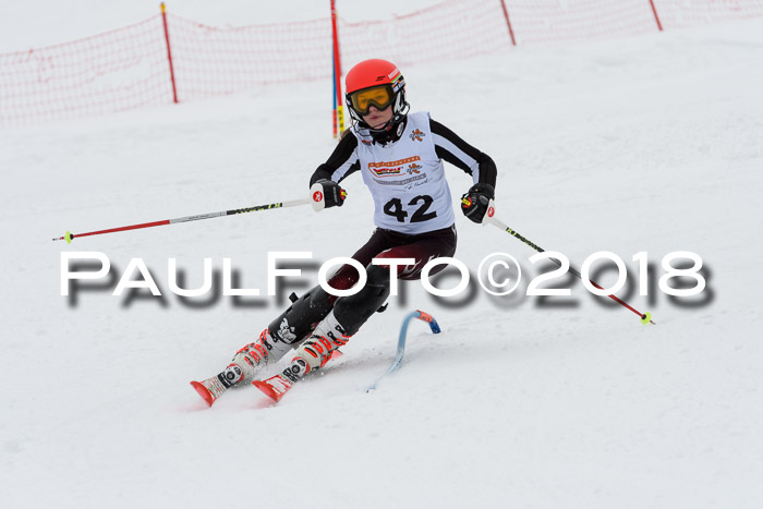 DSV Dt. Schülercup U14 SL 20.01.2018