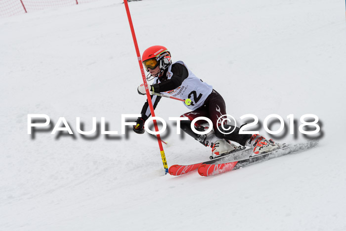 DSV Dt. Schülercup U14 SL 20.01.2018