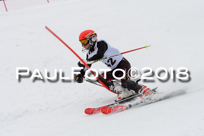 DSV Dt. Schülercup U14 SL 20.01.2018