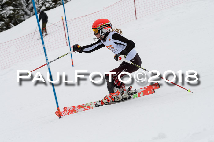 DSV Dt. Schülercup U14 SL 20.01.2018