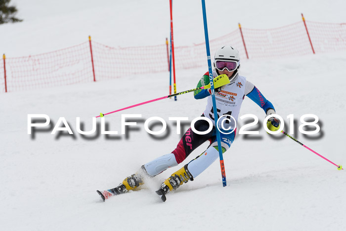 DSV Dt. Schülercup U14 SL 20.01.2018