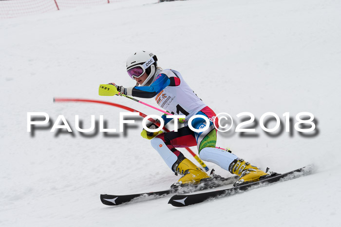 DSV Dt. Schülercup U14 SL 20.01.2018