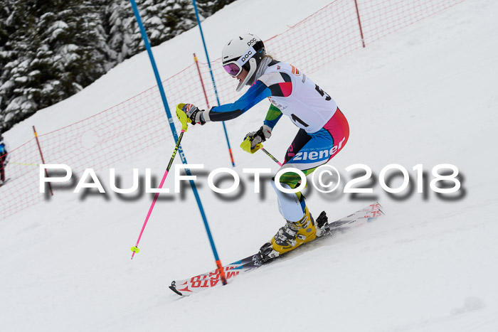 DSV Dt. Schülercup U14 SL 20.01.2018