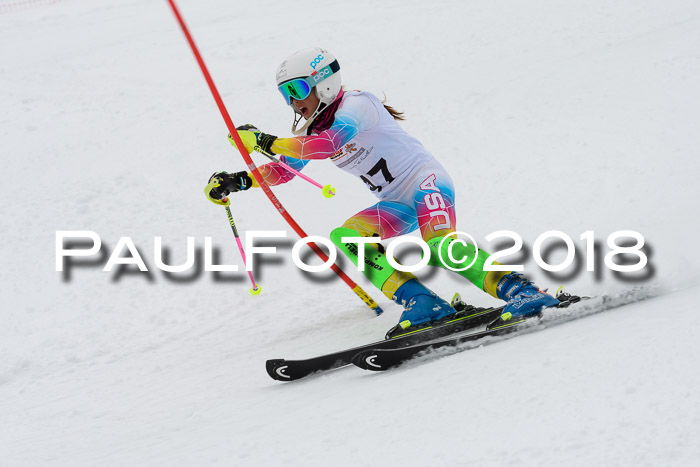 DSV Dt. Schülercup U14 SL 20.01.2018