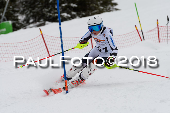 DSV Dt. Schülercup U14 SL 20.01.2018