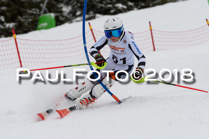 DSV Dt. Schülercup U14 SL 20.01.2018