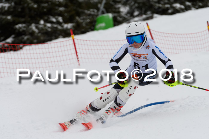 DSV Dt. Schülercup U14 SL 20.01.2018