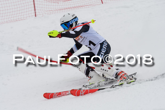 DSV Dt. Schülercup U14 SL 20.01.2018