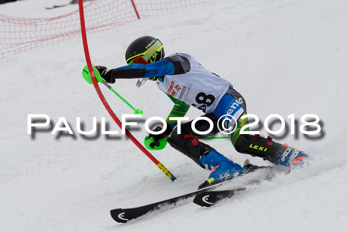 DSV Dt. Schülercup U14 SL 20.01.2018