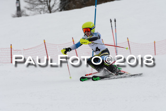 DSV Dt. Schülercup U14 SL 20.01.2018