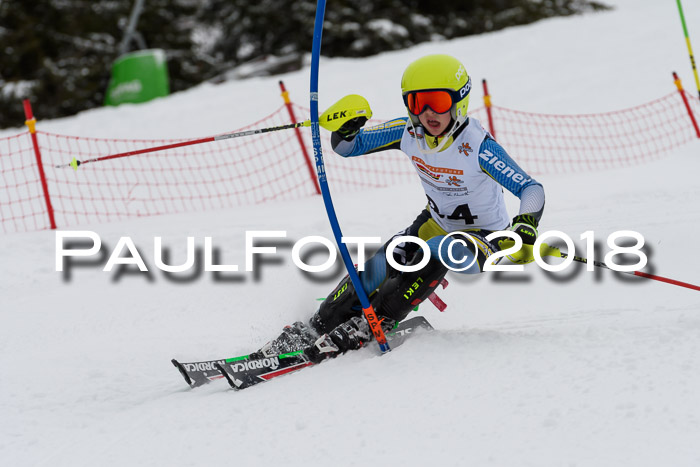 DSV Dt. Schülercup U14 SL 20.01.2018