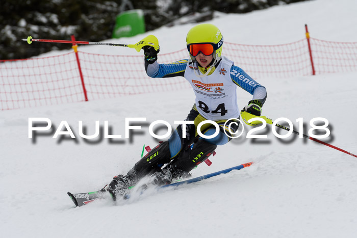 DSV Dt. Schülercup U14 SL 20.01.2018