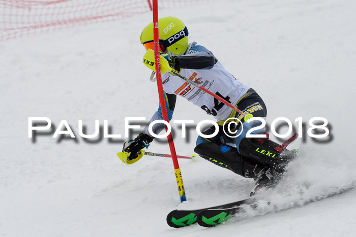 DSV Dt. Schülercup U14 SL 20.01.2018