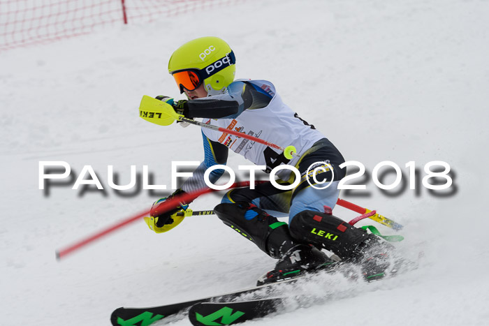 DSV Dt. Schülercup U14 SL 20.01.2018