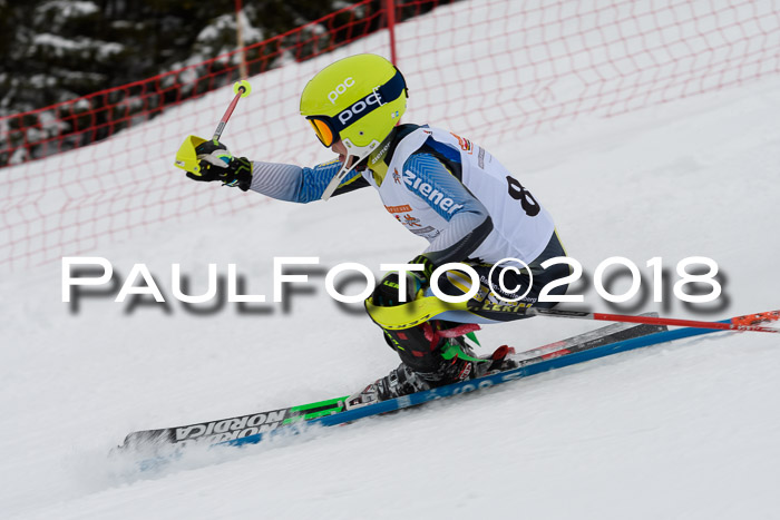 DSV Dt. Schülercup U14 SL 20.01.2018