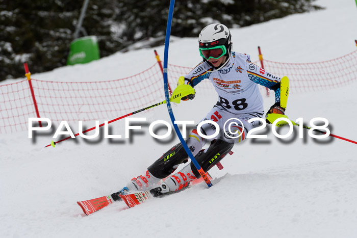 DSV Dt. Schülercup U14 SL 20.01.2018