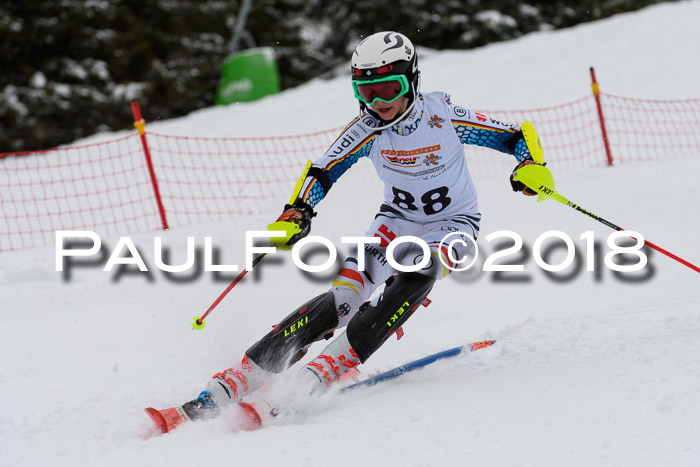 DSV Dt. Schülercup U14 SL 20.01.2018