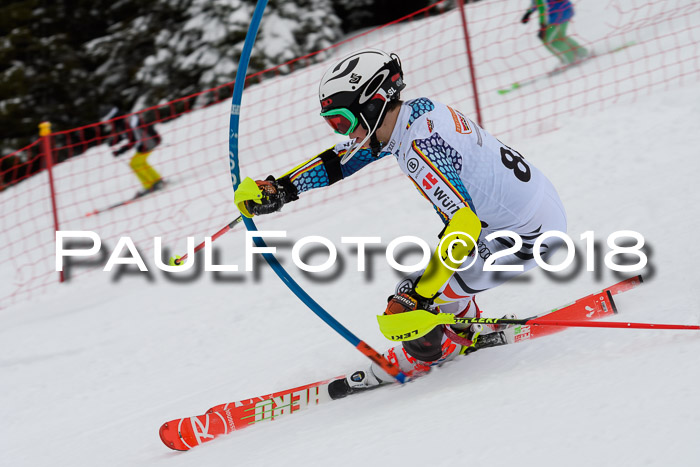 DSV Dt. Schülercup U14 SL 20.01.2018