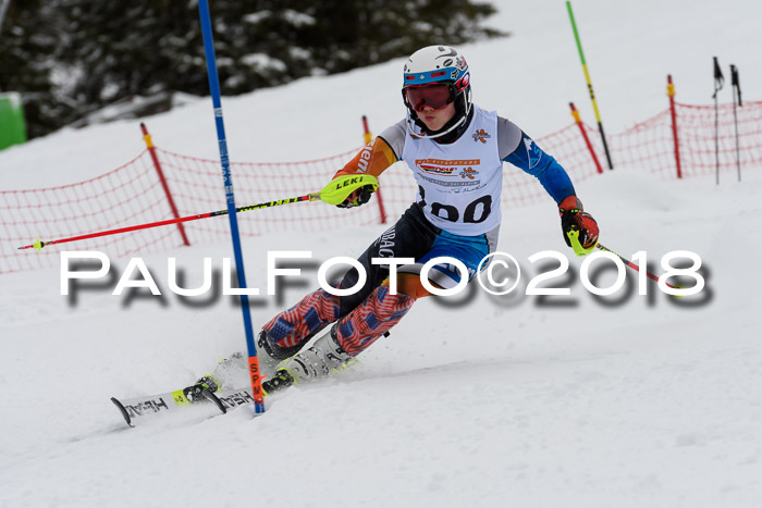 DSV Dt. Schülercup U14 SL 20.01.2018