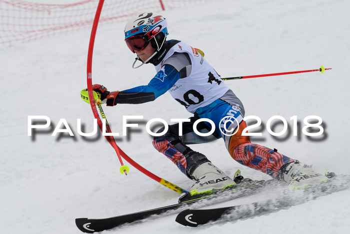 DSV Dt. Schülercup U14 SL 20.01.2018