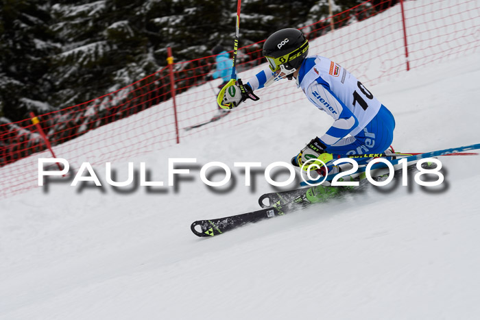 DSV Dt. Schülercup U14 SL 20.01.2018