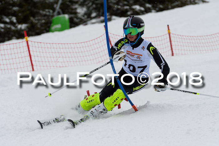 DSV Dt. Schülercup U14 SL 20.01.2018