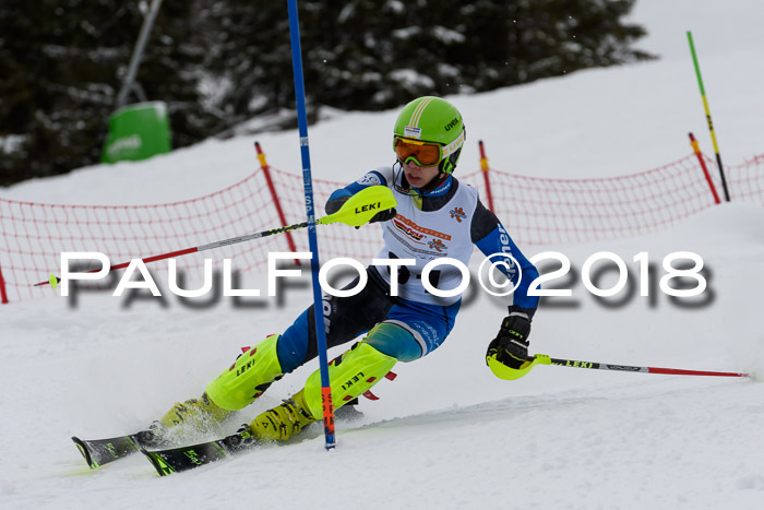 DSV Dt. Schülercup U14 SL 20.01.2018