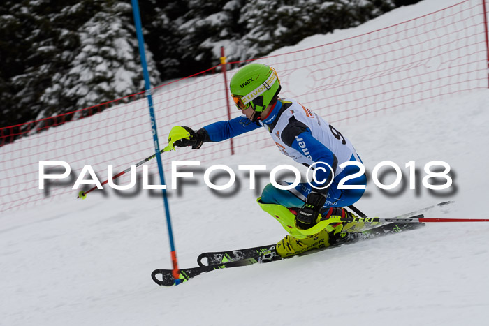 DSV Dt. Schülercup U14 SL 20.01.2018