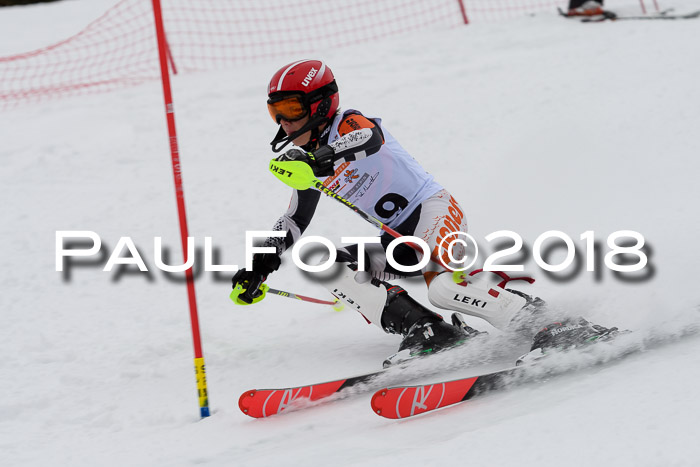 DSV Dt. Schülercup U14 SL 20.01.2018